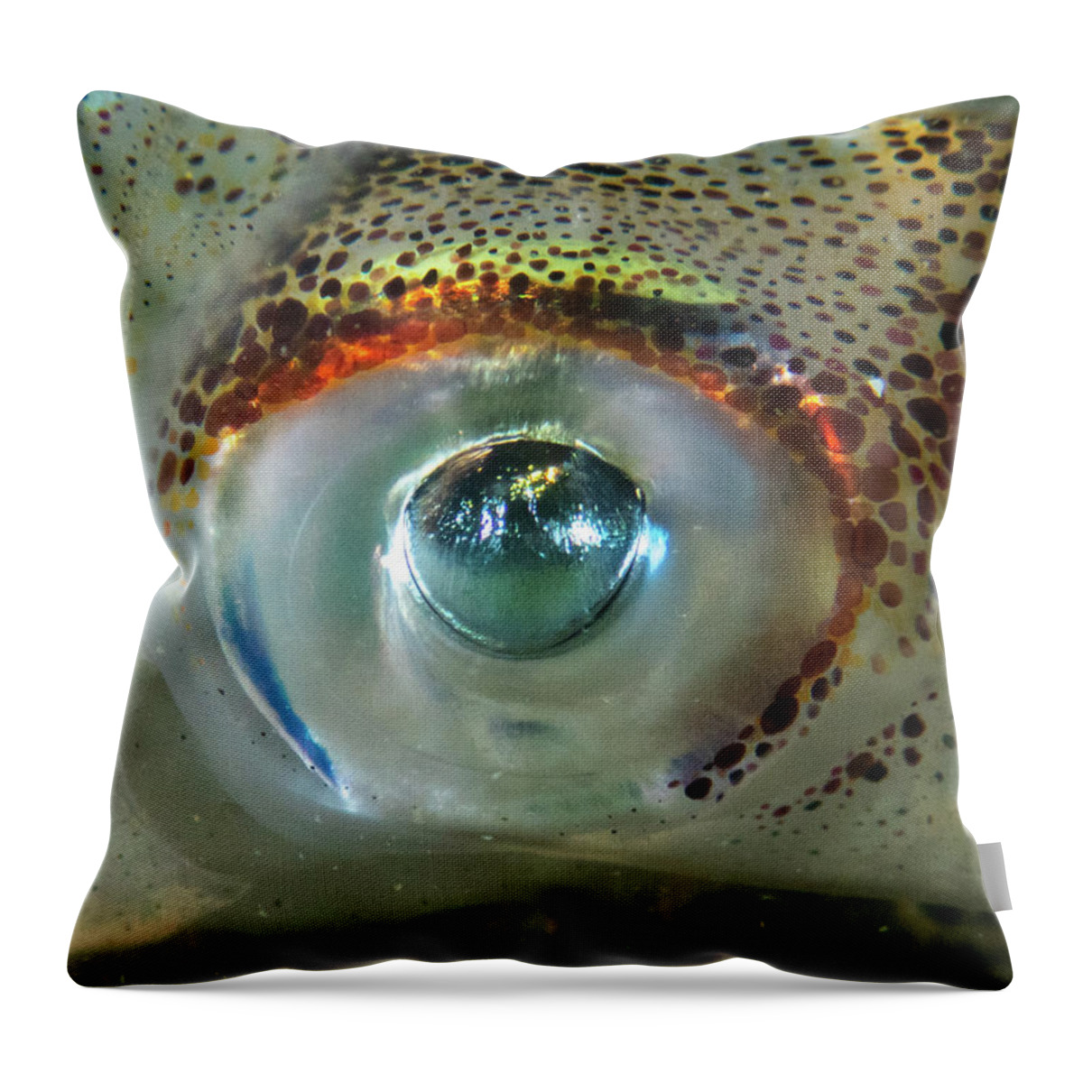 Squid Throw Pillow featuring the photograph Longfin Squid eye by Brian Weber