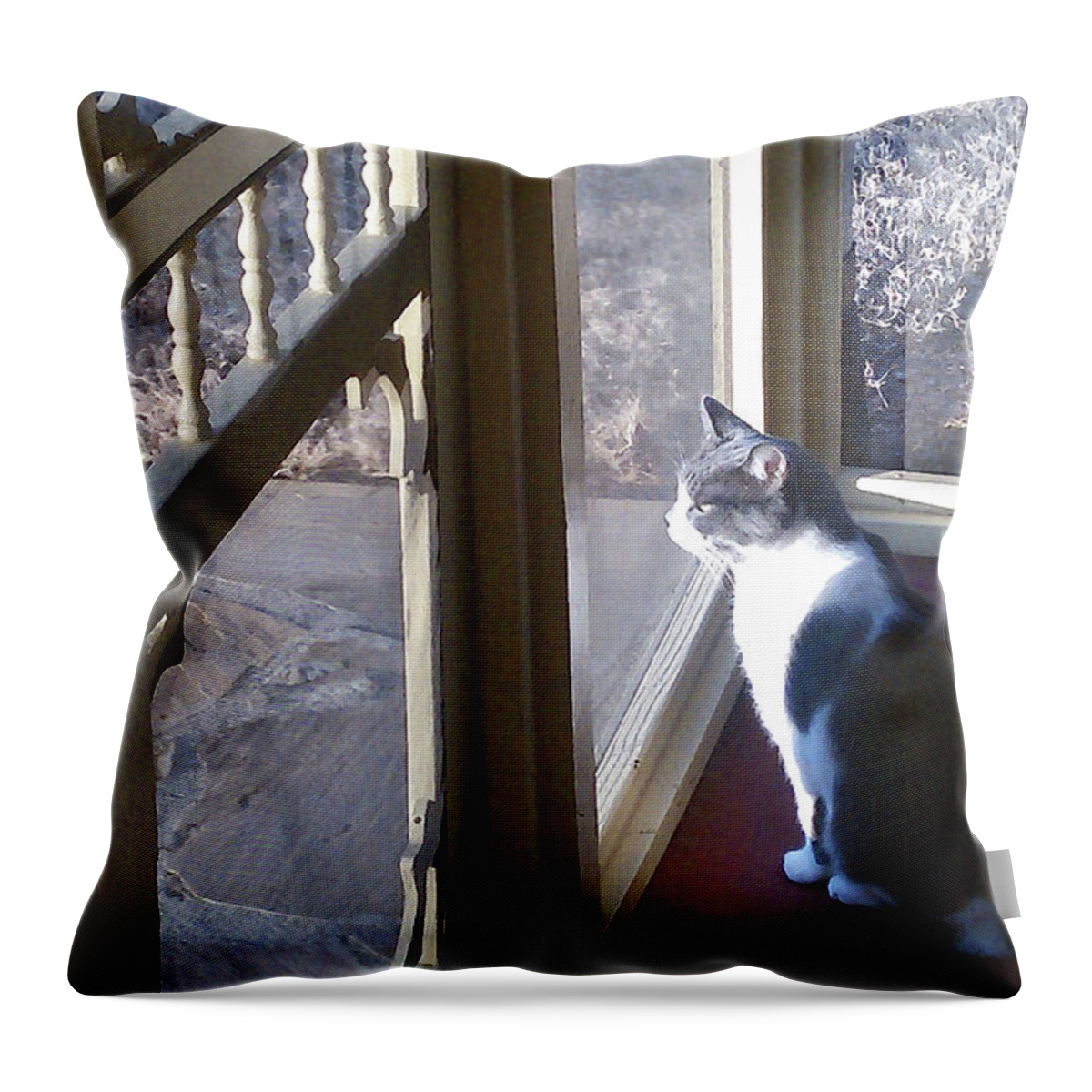 Animal Throw Pillow featuring the mixed media Longing by Sharon Williams Eng