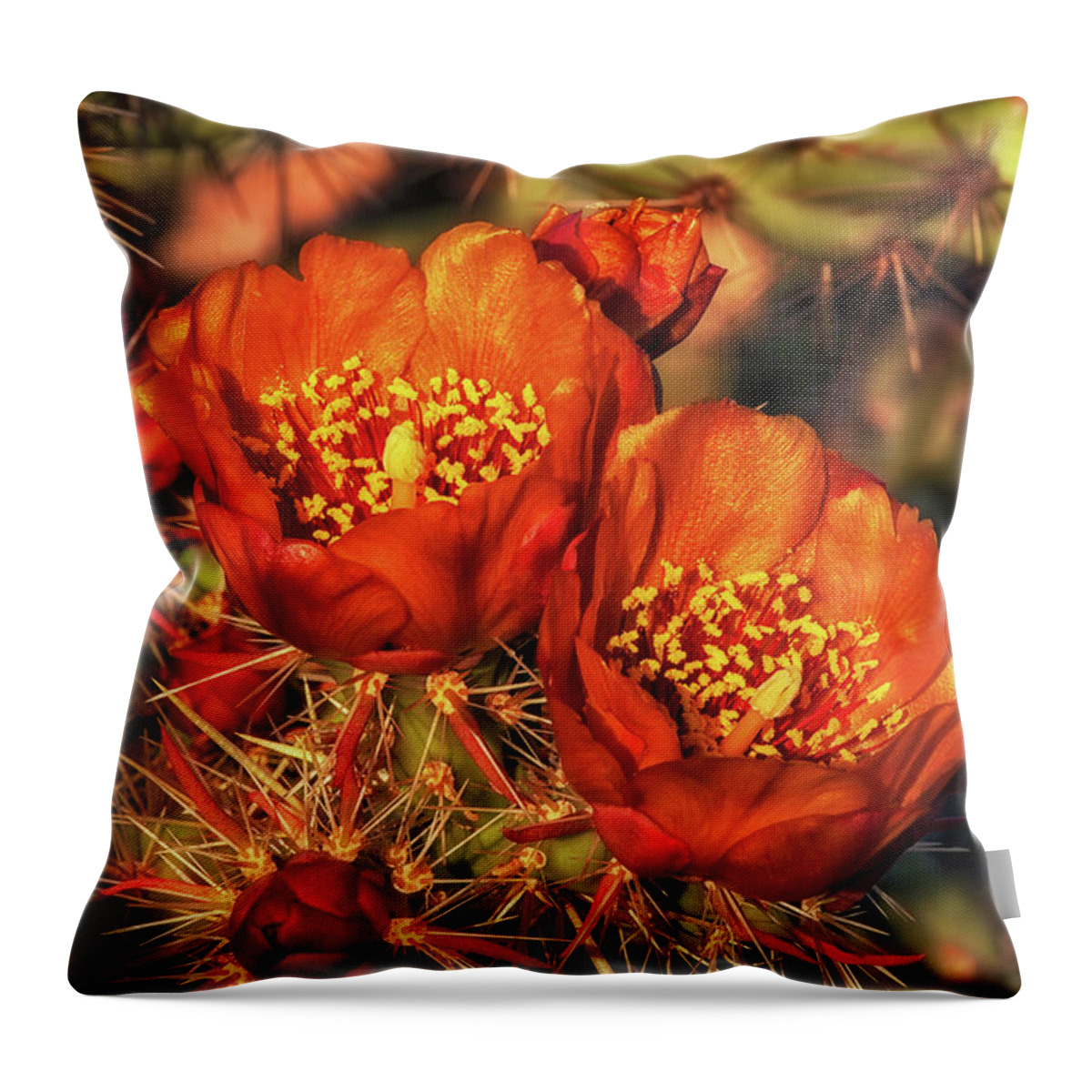 Arizona Throw Pillow featuring the photograph Look But Don't Touch by Rick Furmanek