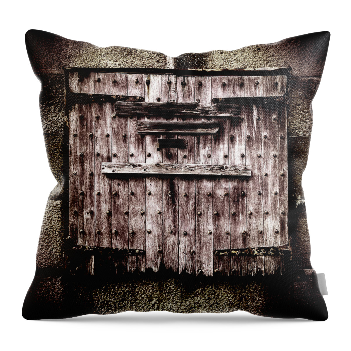  Throw Pillow featuring the photograph Looking around-239 by Emilio Arostegui
