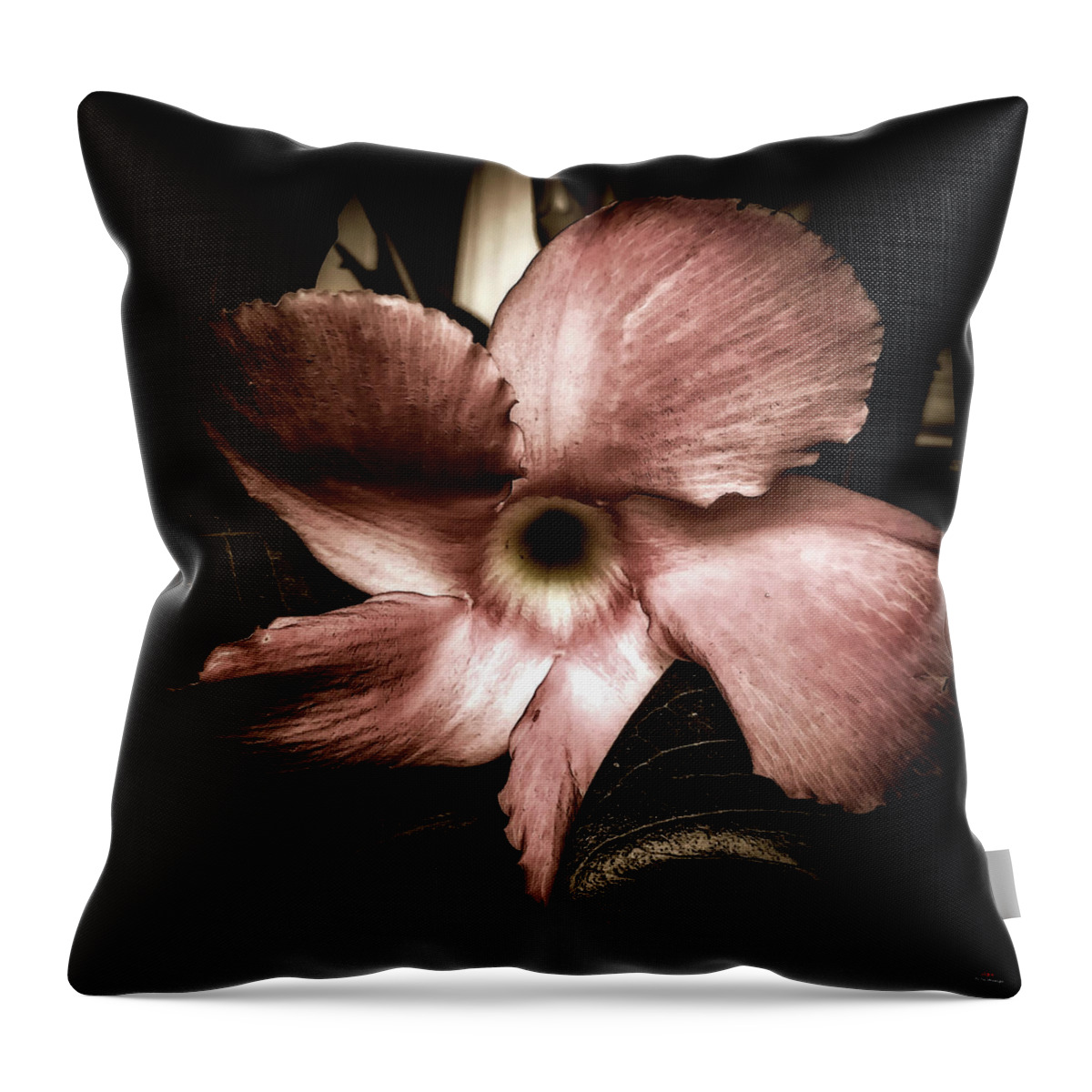  Throw Pillow featuring the photograph Looking around-278 by Emilio Arostegui