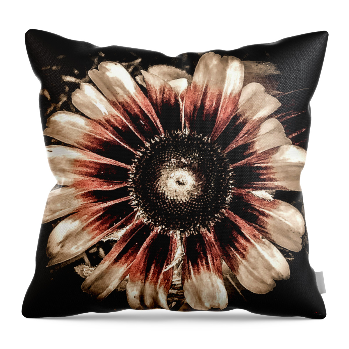  Throw Pillow featuring the photograph Looking around-303 by Emilio Arostegui