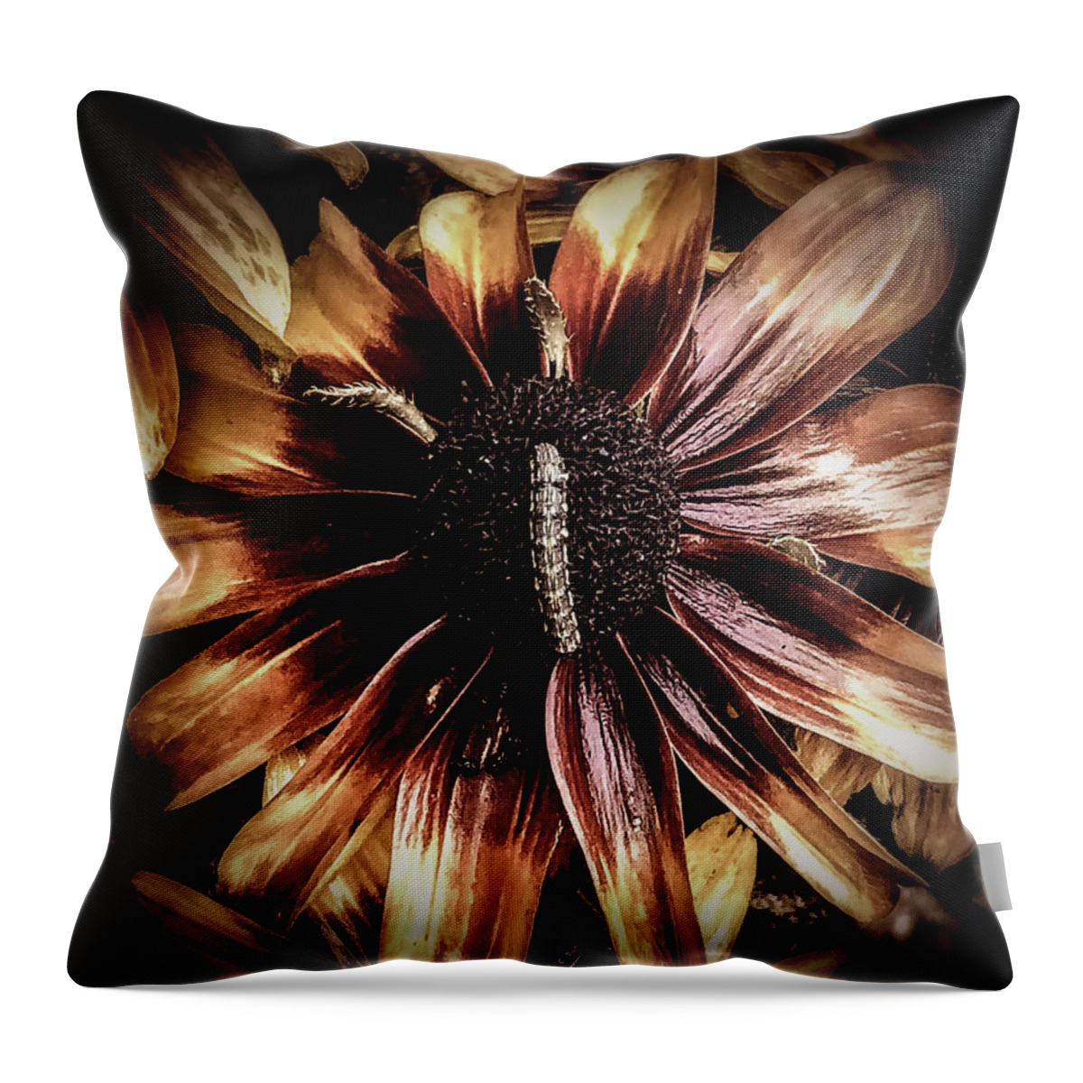  Throw Pillow featuring the photograph Looking around-319 by Emilio Arostegui