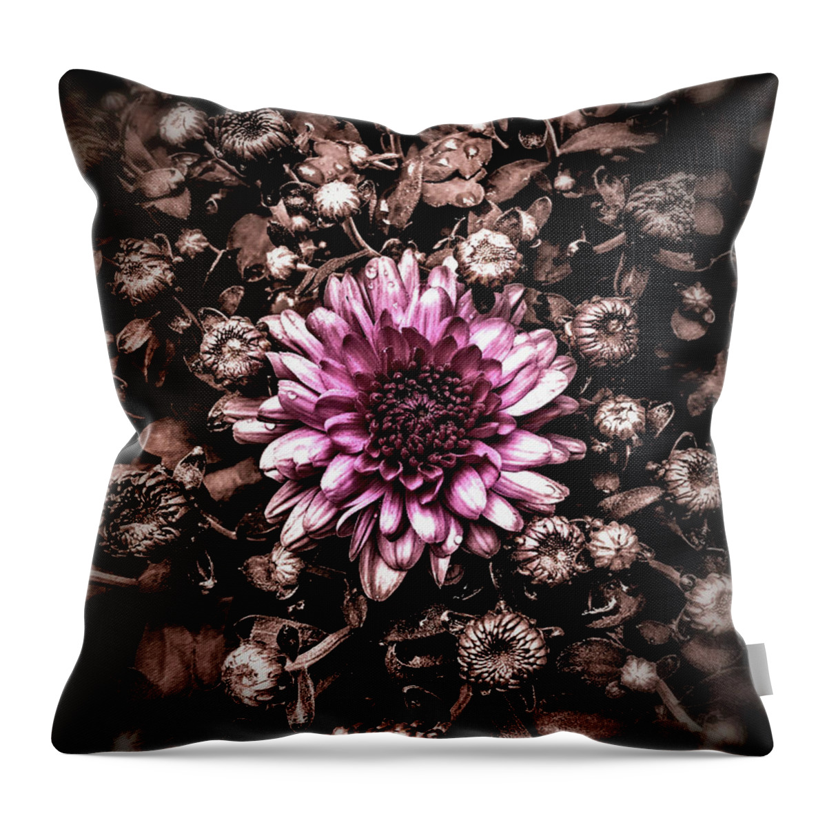  Throw Pillow featuring the pyrography Looking around-351 by Emilio Arostegui