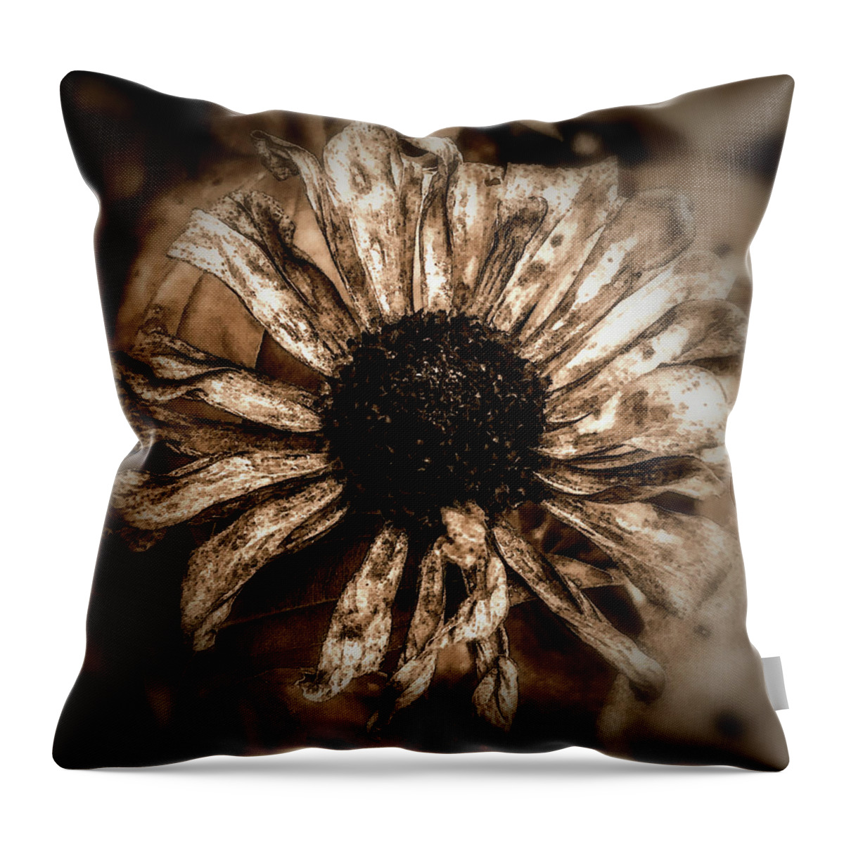  Throw Pillow featuring the pyrography Looking around-352 by Emilio Arostegui