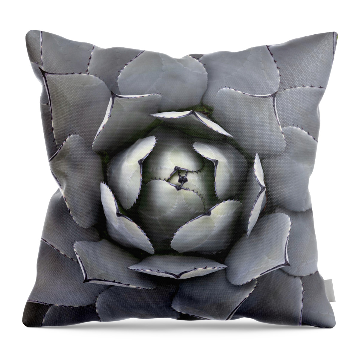 Succulent Throw Pillow featuring the photograph Looking Down on an Artichoke Agave by William Dunigan
