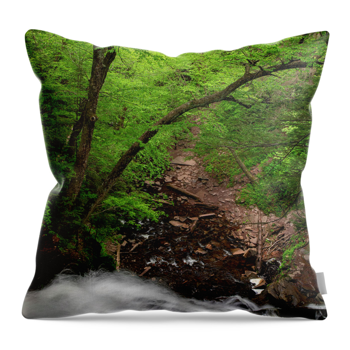 Looking Down Ricketts Glen Waterfall Throw Pillow featuring the photograph Looking Down Ricketts Glen Waterfall by Dan Sproul