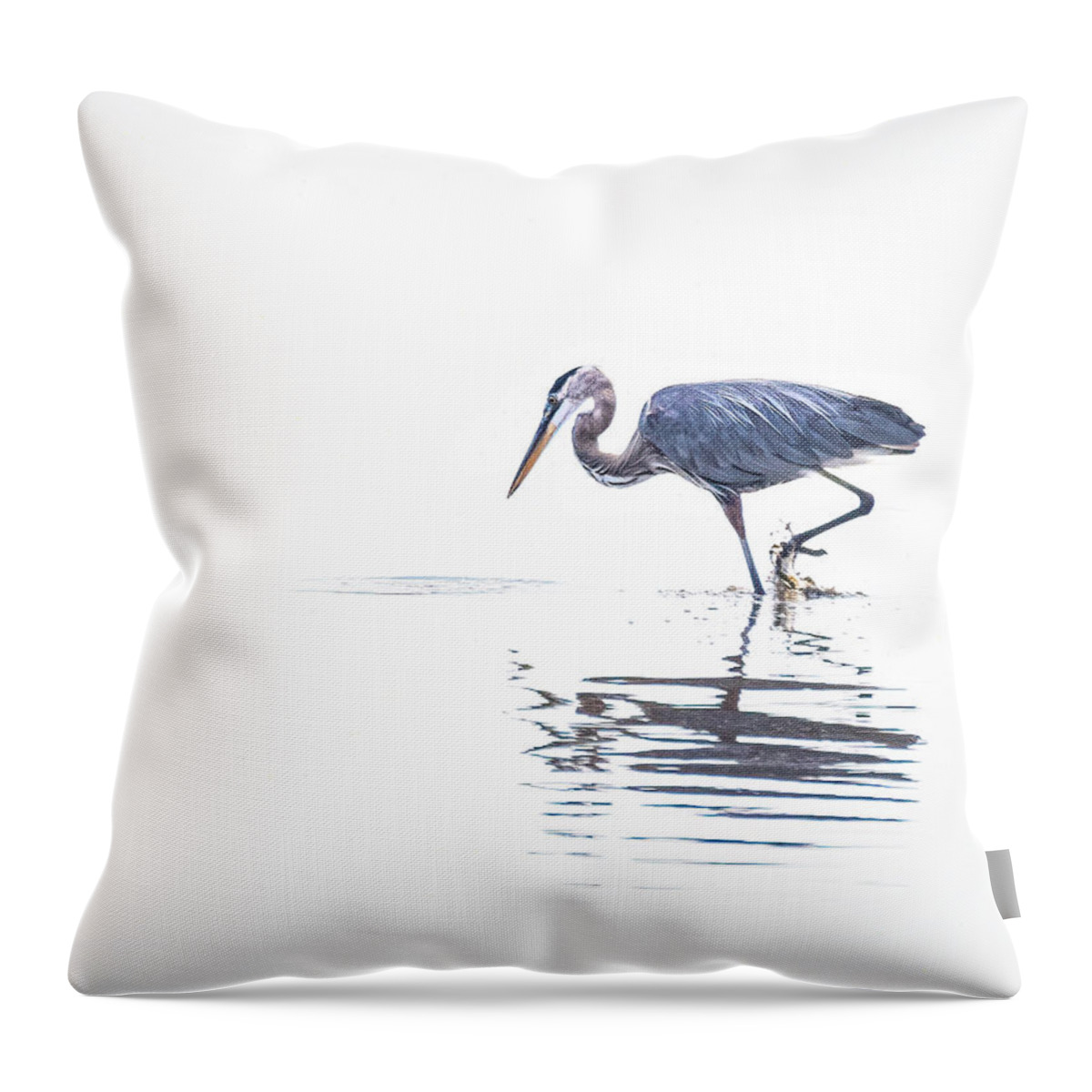 Ray Silva Throw Pillow featuring the photograph Looking for Something by Ray Silva