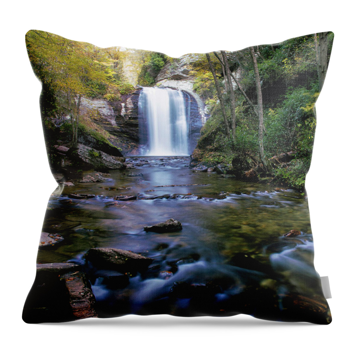 Art Prints Throw Pillow featuring the photograph Looking Glass Falls by Nunweiler Photography