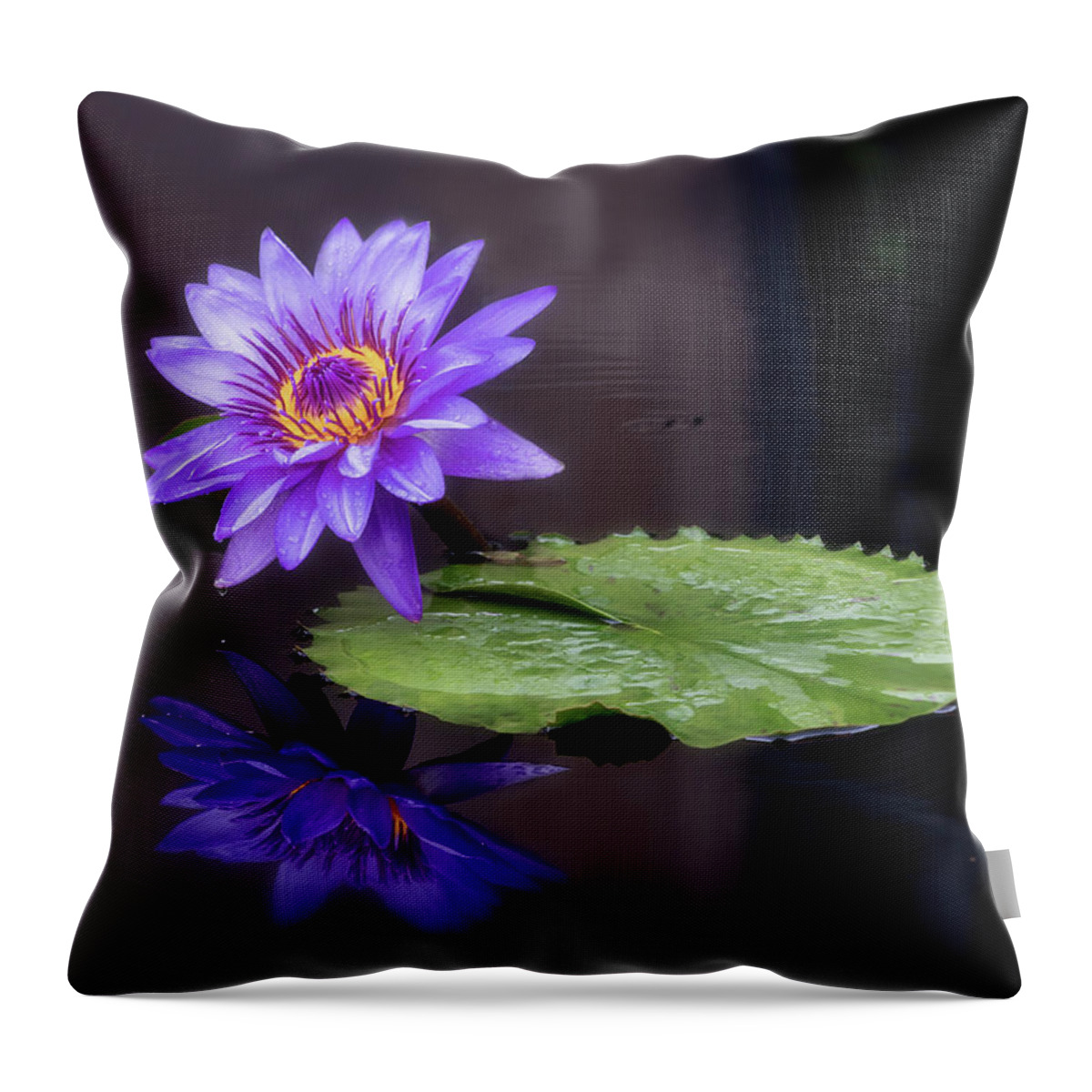 Summer Throw Pillow featuring the photograph Looking glass. by Usha Peddamatham