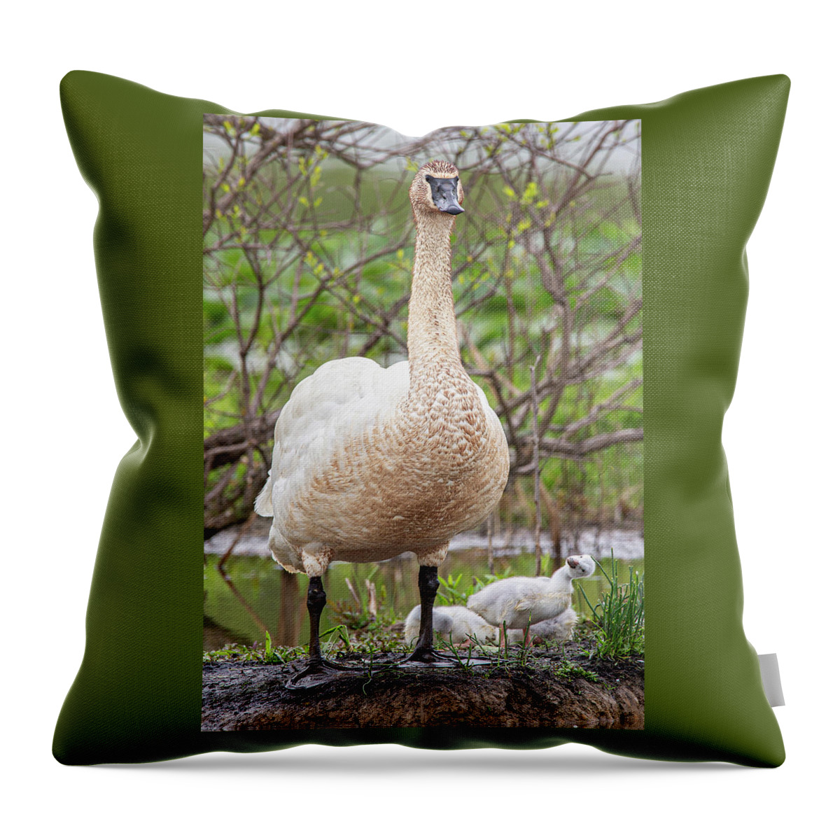 Looking Up To Dad Throw Pillow featuring the photograph Looking Up To Dad by Dale Kincaid