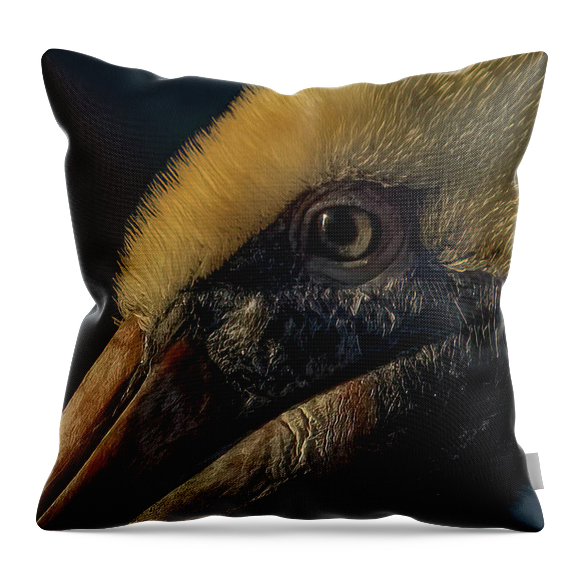 Pelican Throw Pillow featuring the photograph Looking Weathered by RD Allen