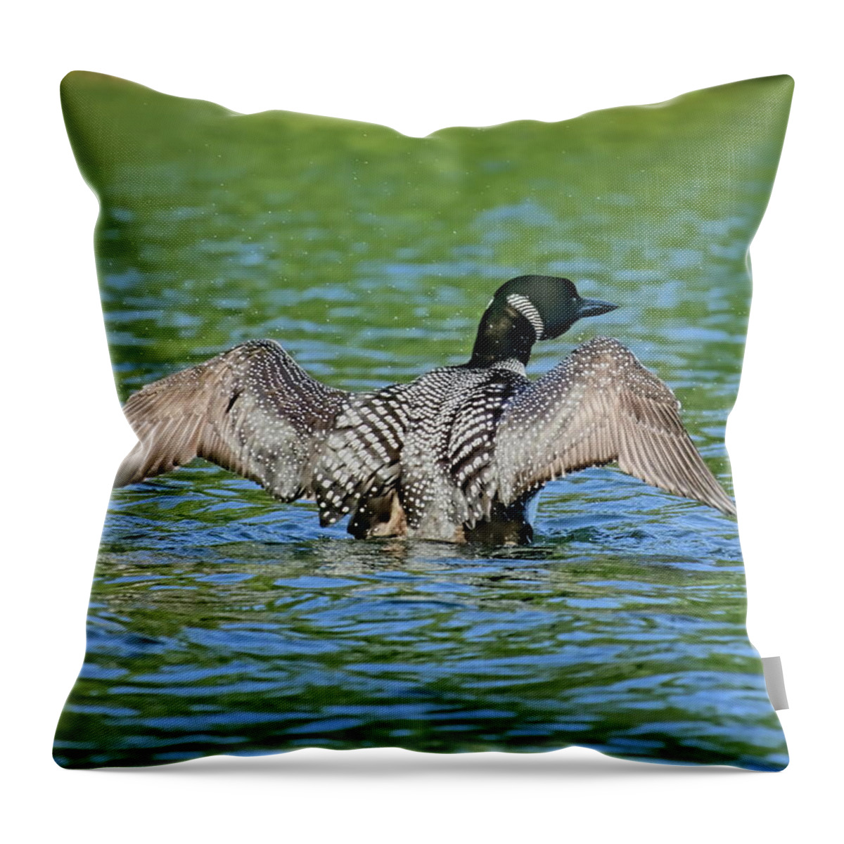 Bird Throw Pillow featuring the photograph Loon Shaking by Dale Kauzlaric