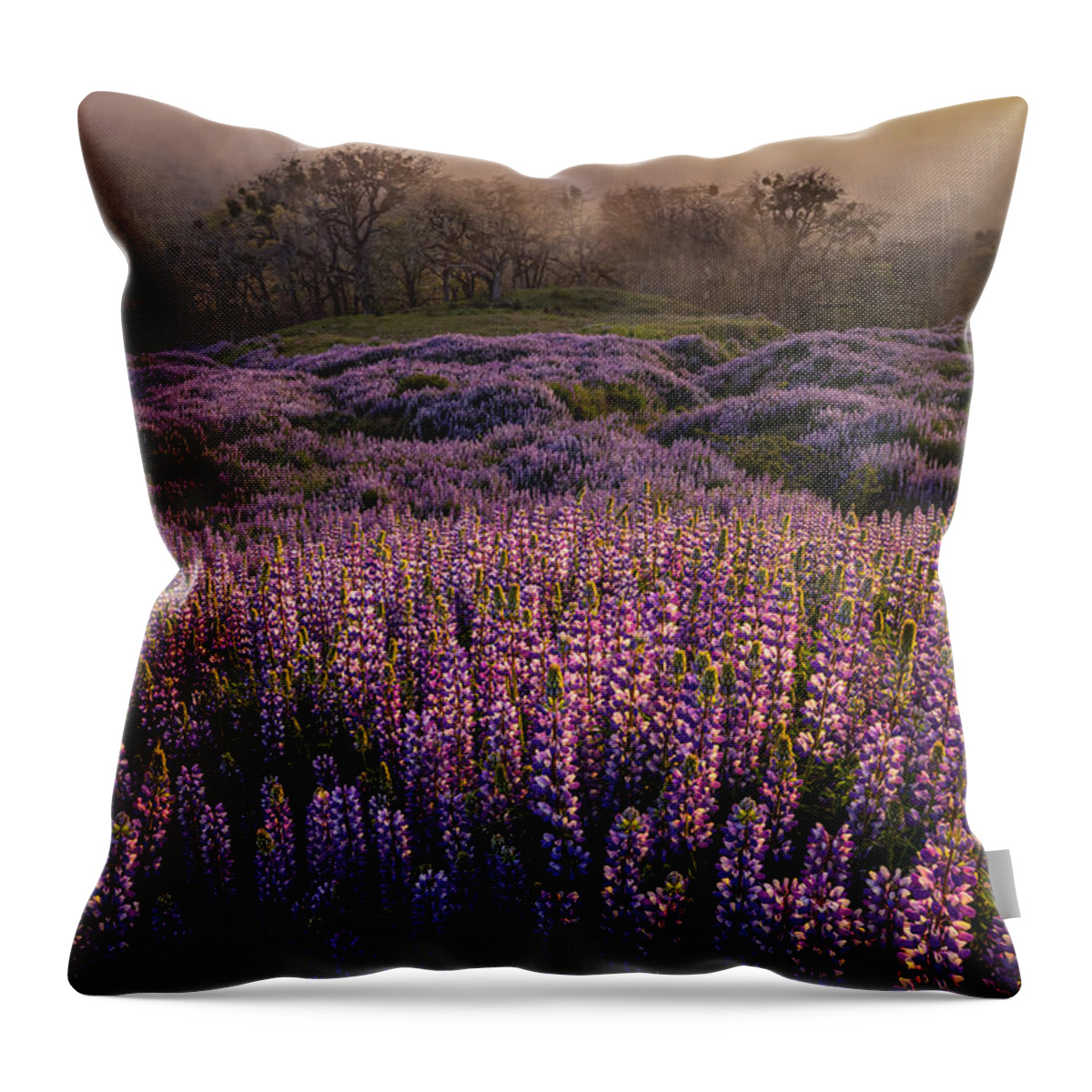 California Throw Pillow featuring the photograph Lost in Emotion by Ryan Smith