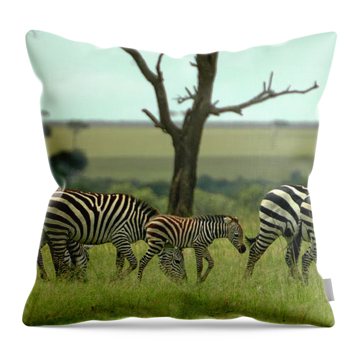Black Throw Pillow featuring the photograph Lots of Supervision by Steve Templeton
