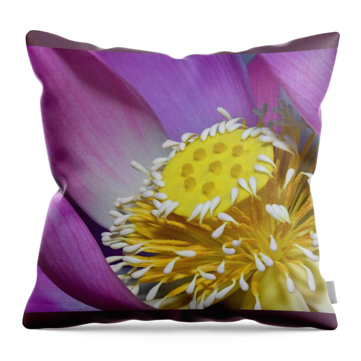 Lotus Throw Pillow featuring the photograph Lotus 1 by Tanya G Burnett