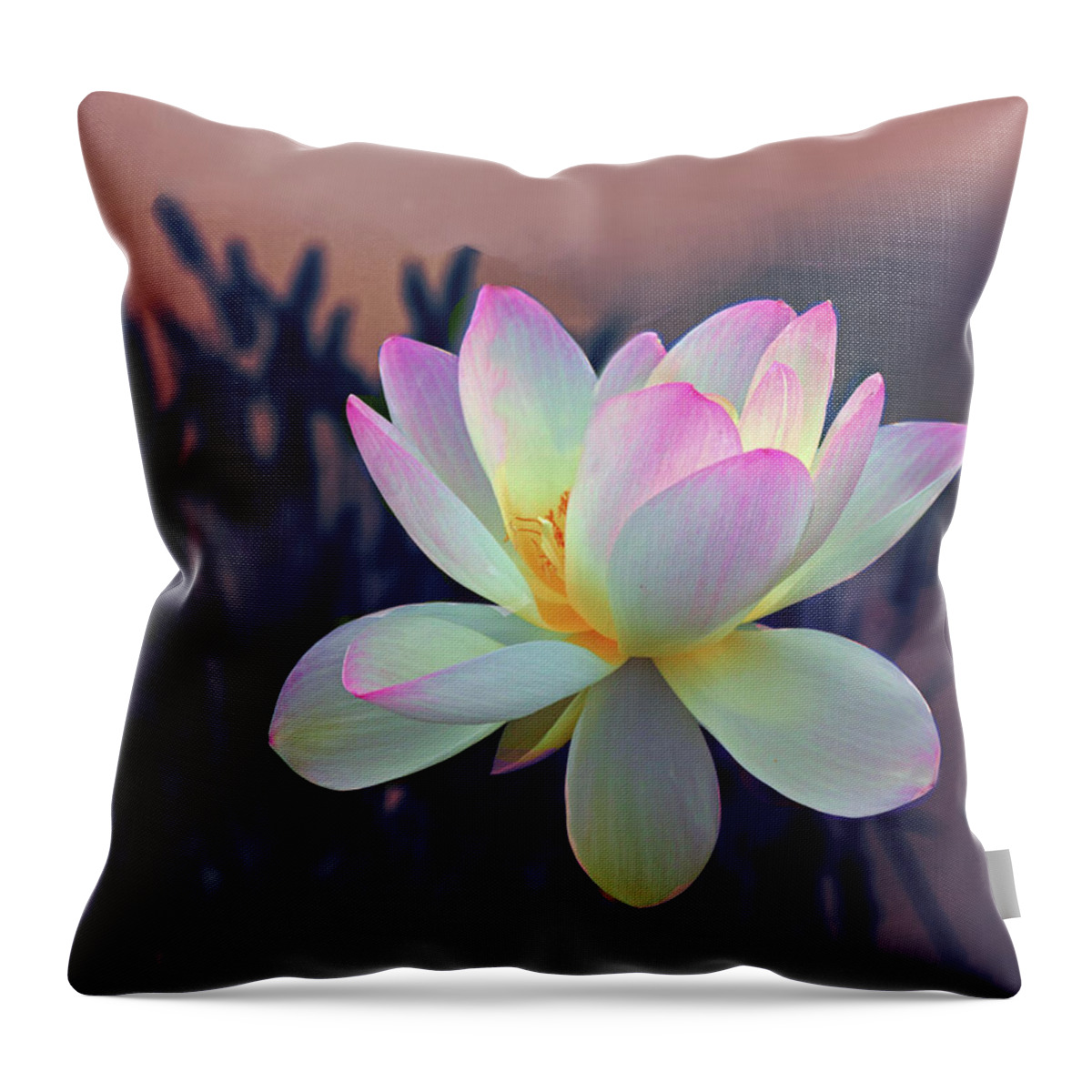 Lotus Throw Pillow featuring the photograph Lotus Afloat by Jessica Jenney