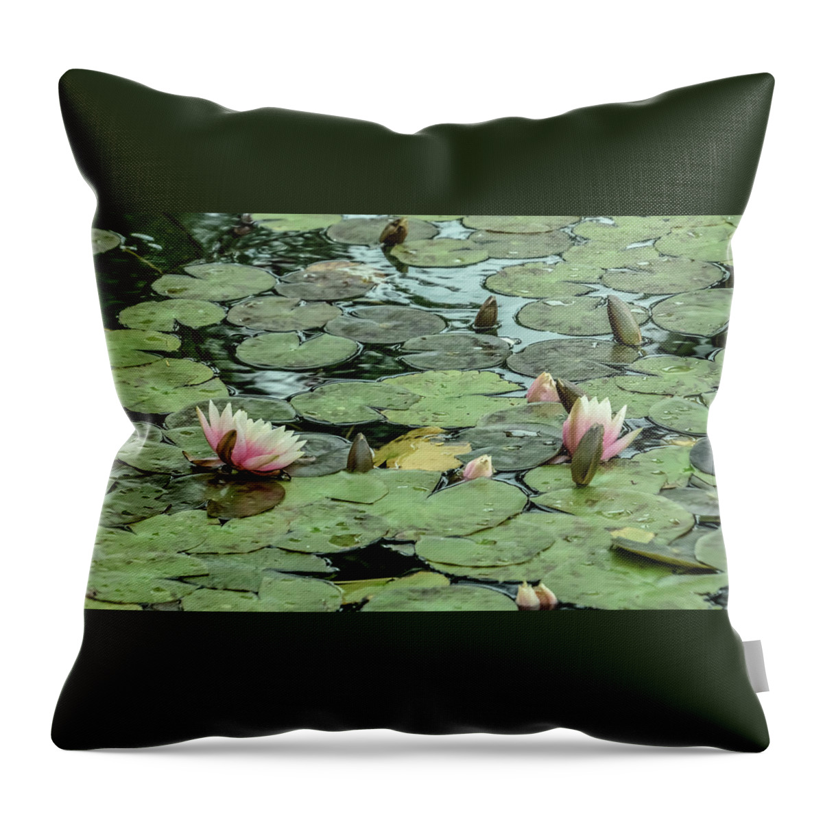Purity Throw Pillow featuring the photograph Lotus Blossoms by Christina McGoran