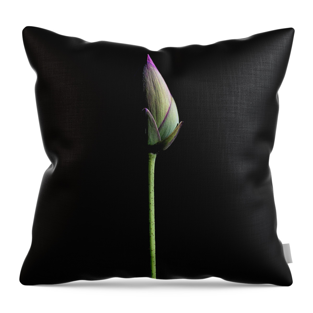 Lotus Throw Pillow featuring the photograph Lotus Bud by Gary Geddes