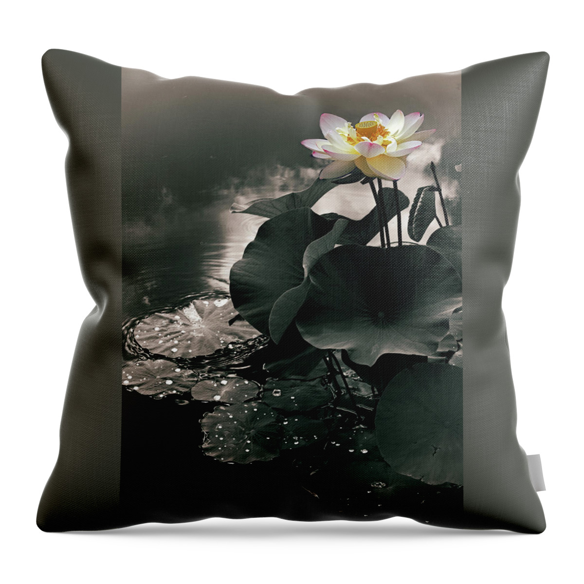 Lotus Throw Pillow featuring the photograph Lotus in the Mist by Jessica Jenney