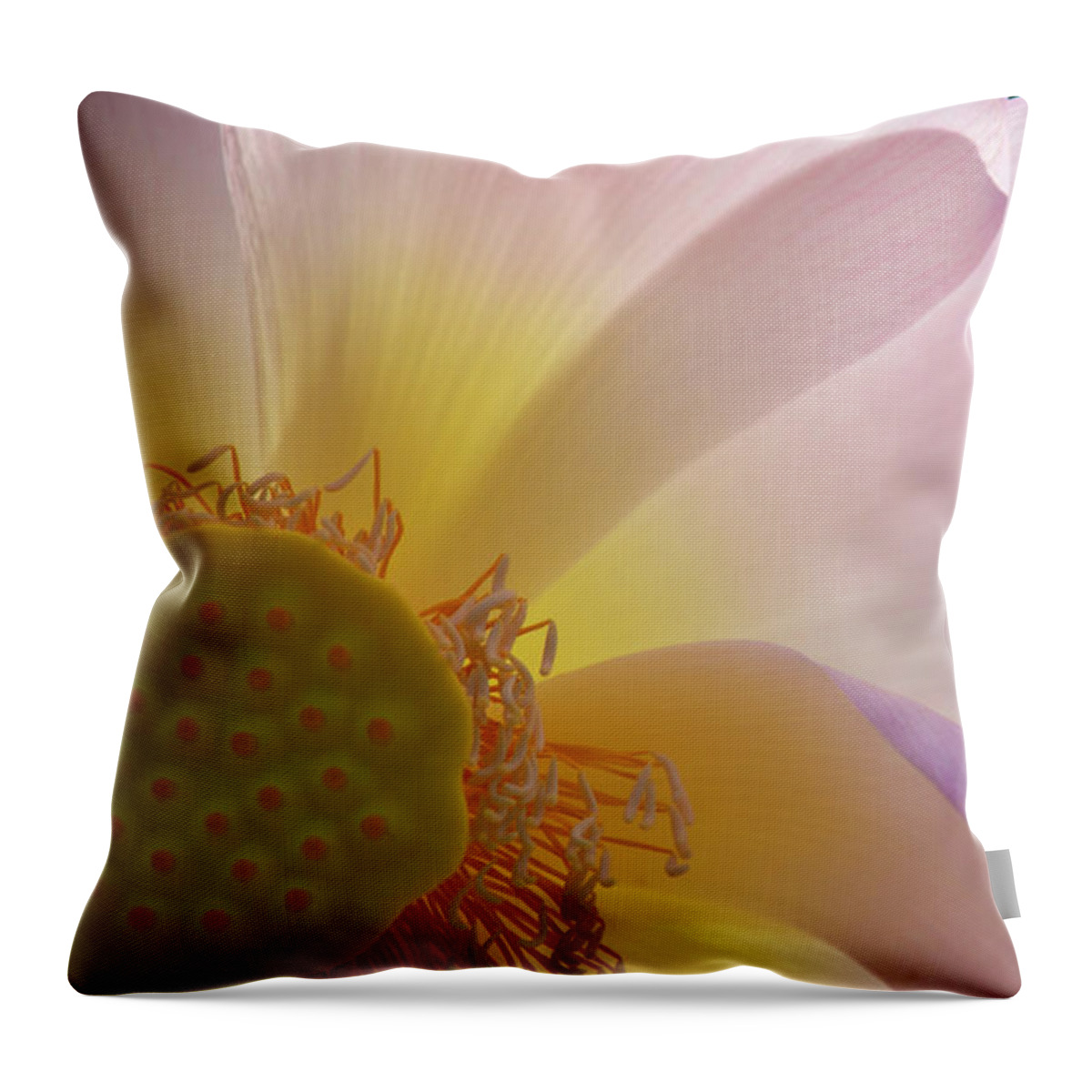 Flower Throw Pillow featuring the photograph Lotus Sunrise by Karen Smale