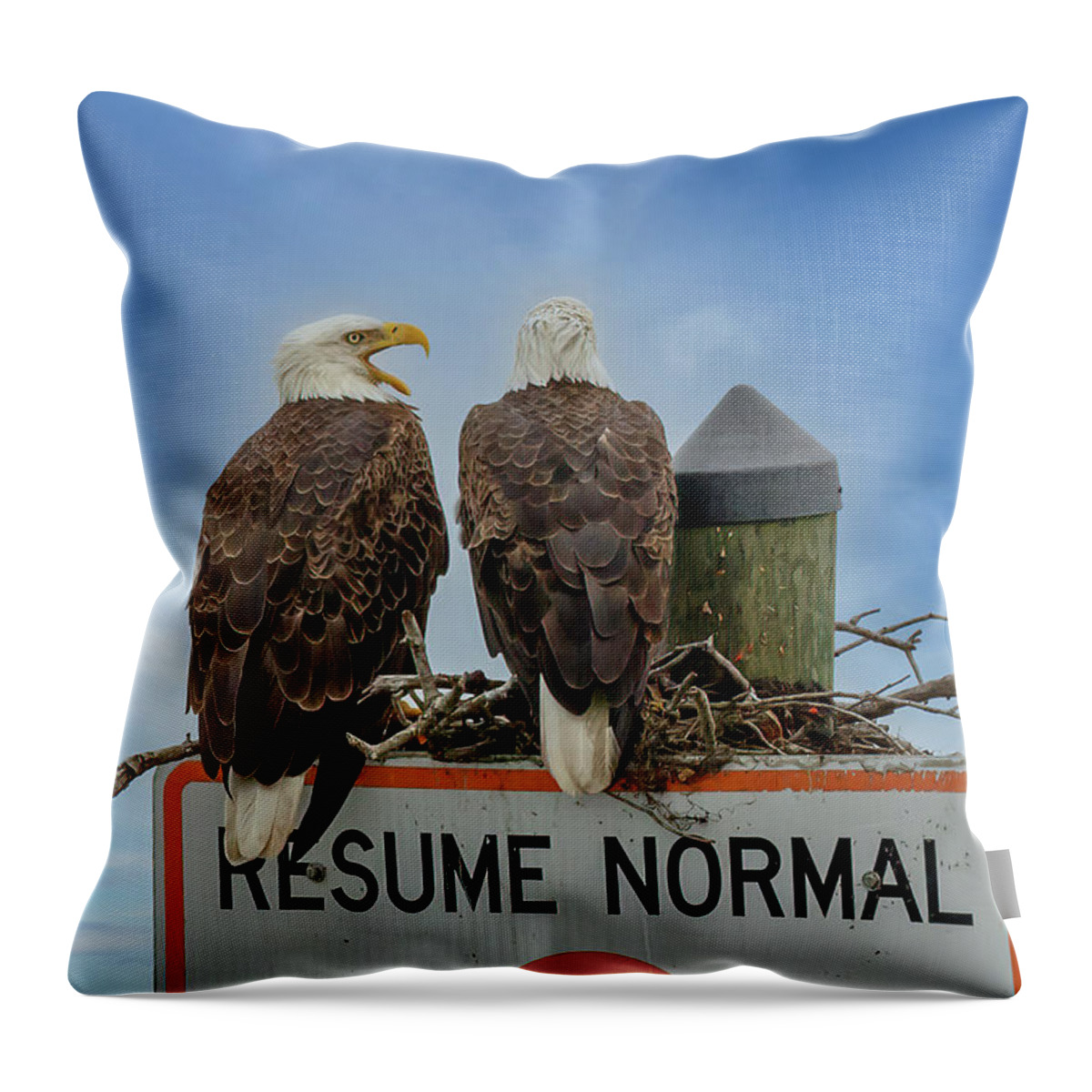 Eagle Throw Pillow featuring the photograph Love Birds by Les Greenwood