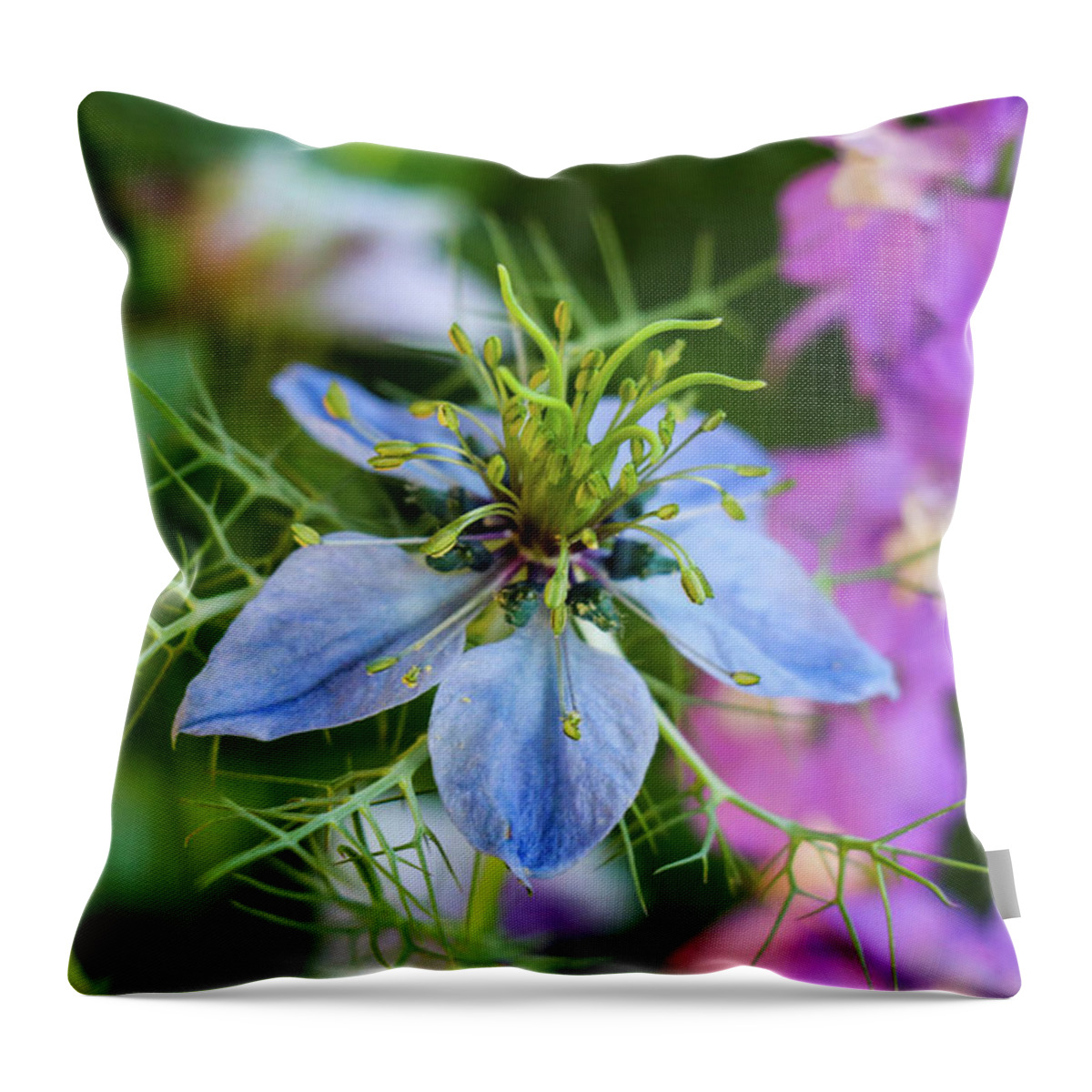 Flower Throw Pillow featuring the photograph Love-in-a-Mist II by Mary Anne Delgado