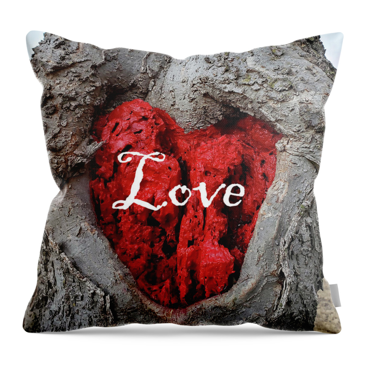 Love Throw Pillow featuring the photograph LOVE Red Heart In a Tree by Lynnie Lang