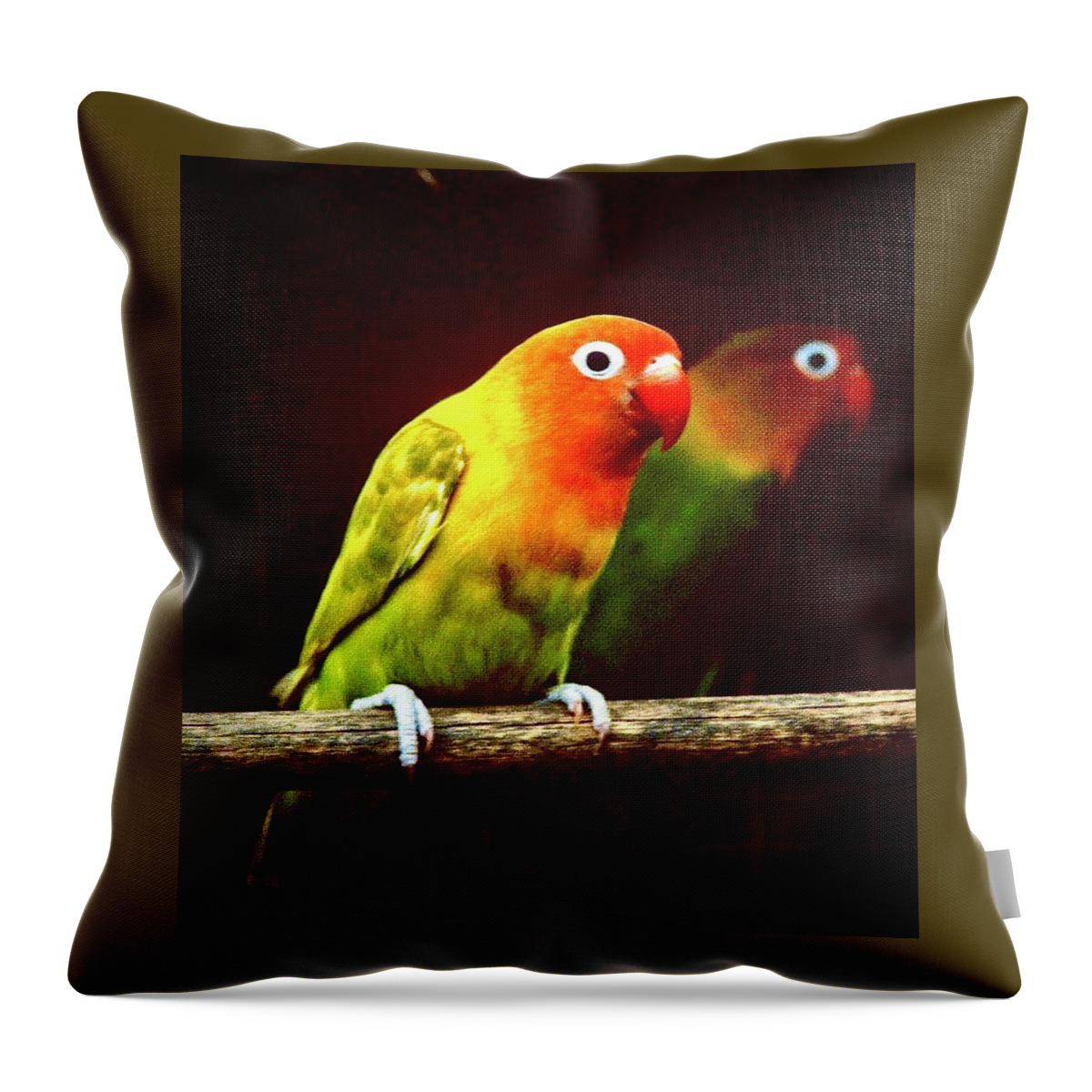 Lovebird Throw Pillow featuring the photograph Lovebirds by Gordon James