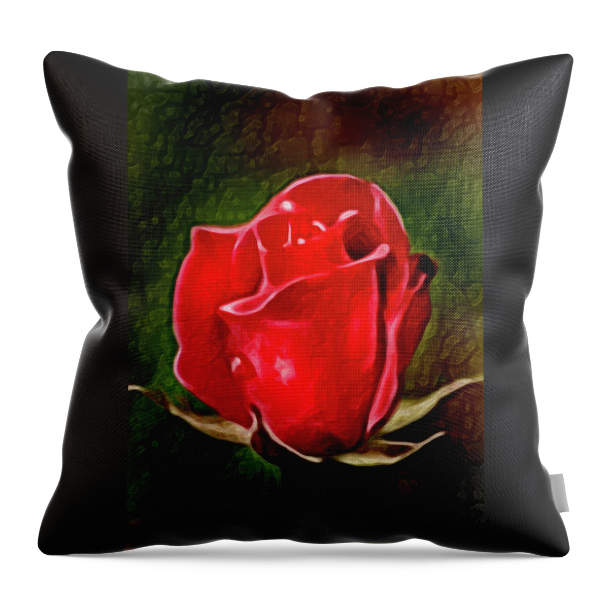 Flower Throw Pillow featuring the photograph Lovely Artistic 2 Red Rose by Don Johnson
