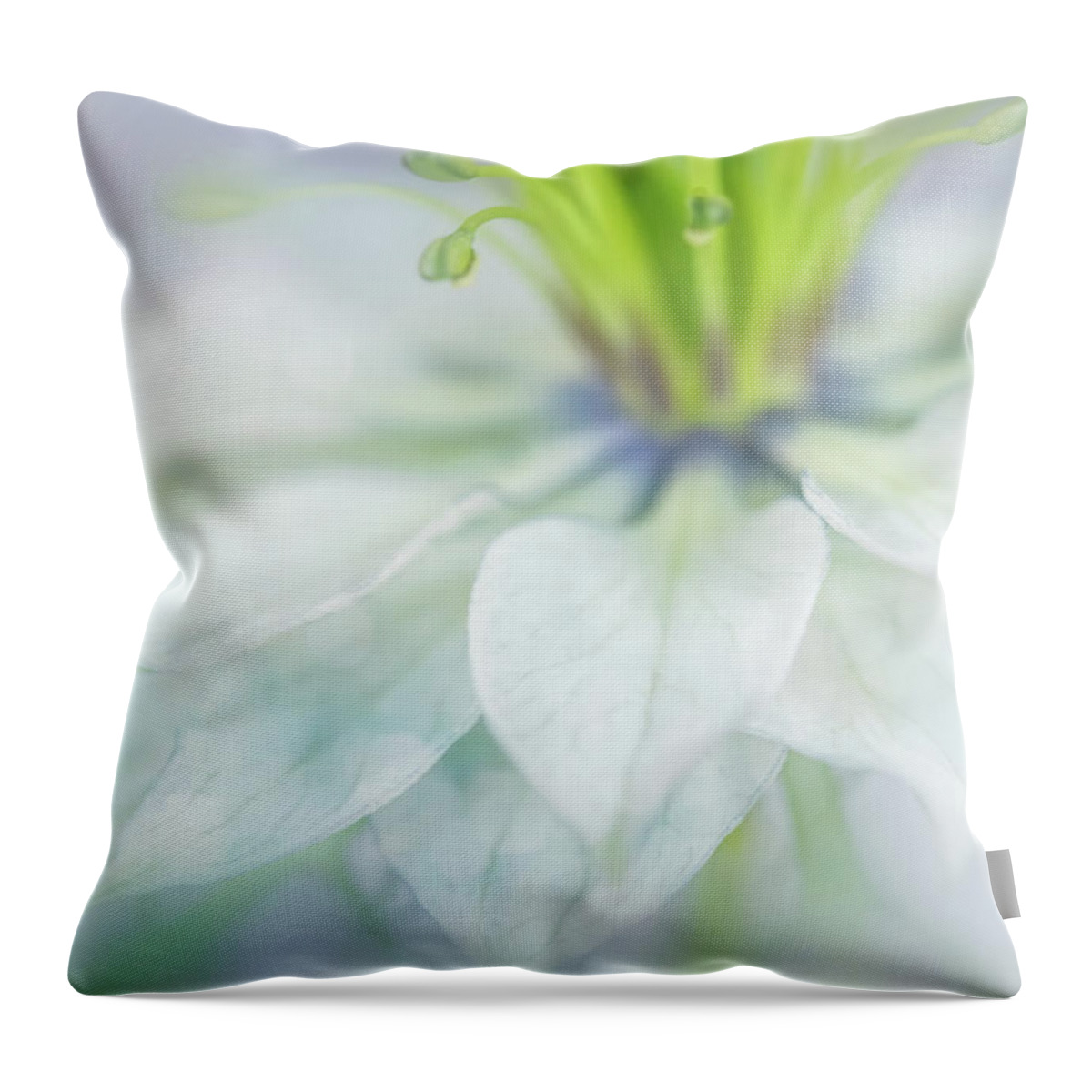 Photography Throw Pillow featuring the digital art Lovely Petals by Terry Davis