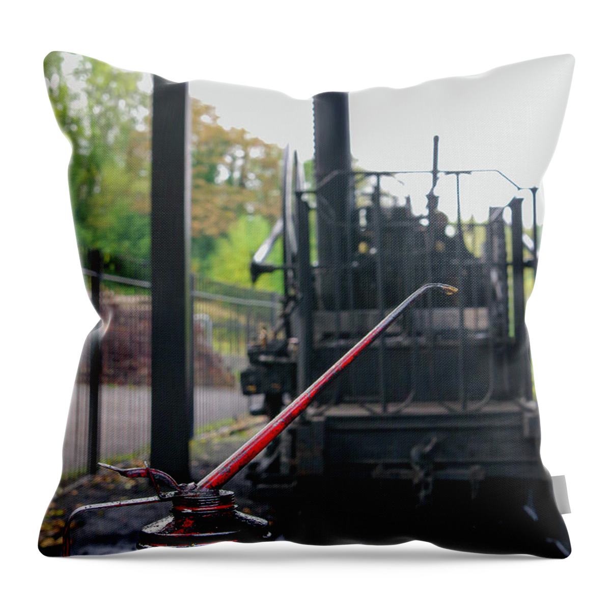 Oil Can Throw Pillow featuring the photograph Lubrication by Average Images