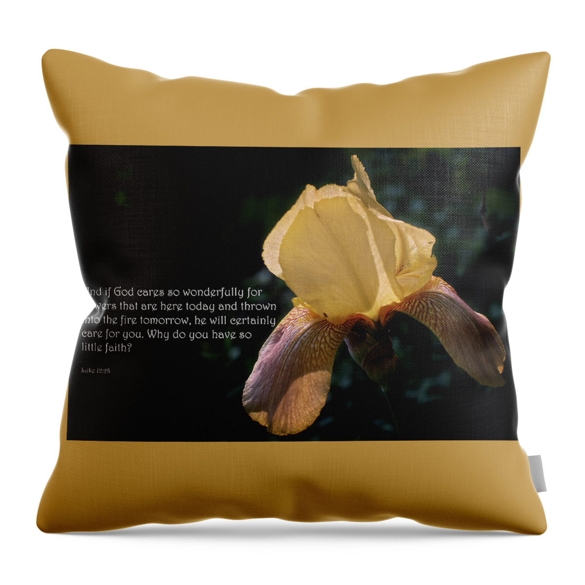 Scripture; Scripture Picture; Luke 12:28; Iris; Bloom; Blossom; Flower; Spring; Worry; Faith Throw Pillow featuring the photograph Luke 12 by George Taylor
