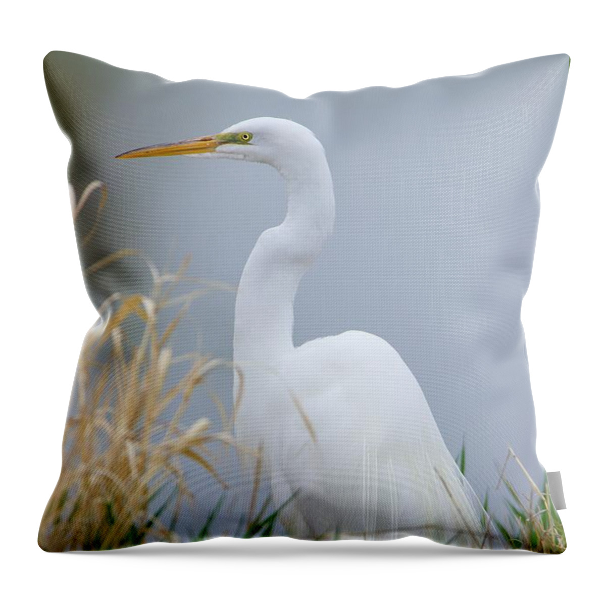 Egret Throw Pillow featuring the photograph Luminous Egret by Yvonne M Smith