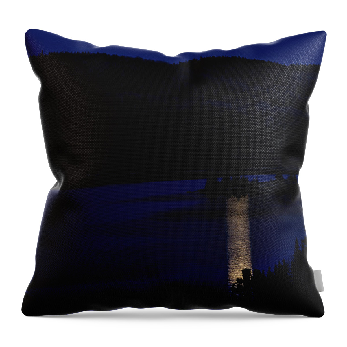 Woods Throw Pillow featuring the photograph Luna Brush by Doug Gibbons