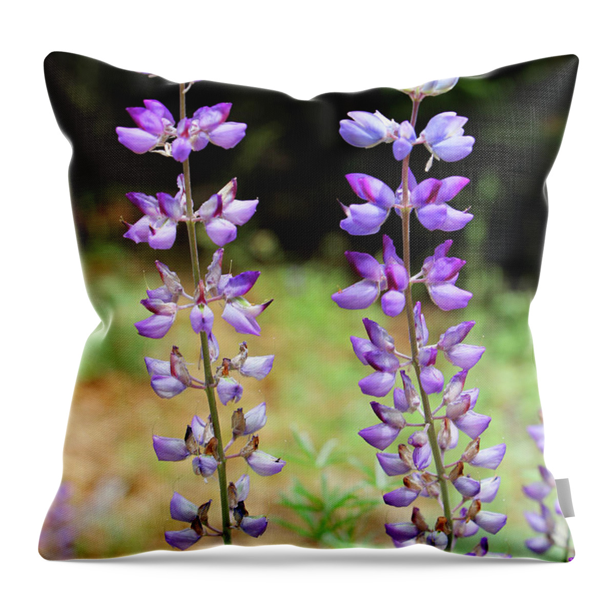 Lupine Throw Pillow featuring the photograph Lupine by Sierra Vance