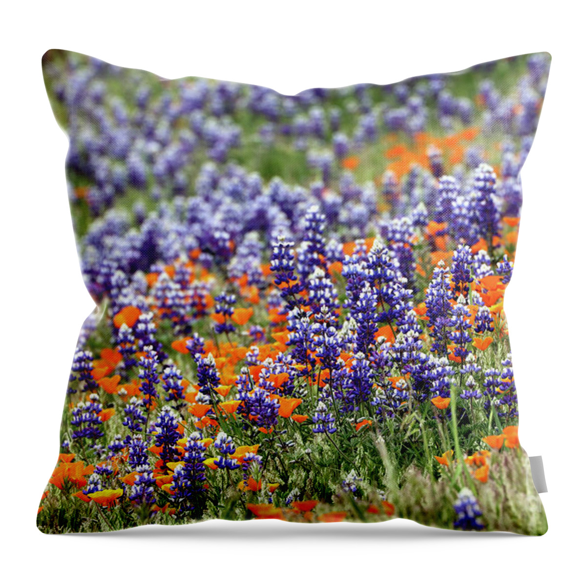 Lupine Throw Pillow featuring the photograph Lupines and Poppies by Vivian Krug Cotton