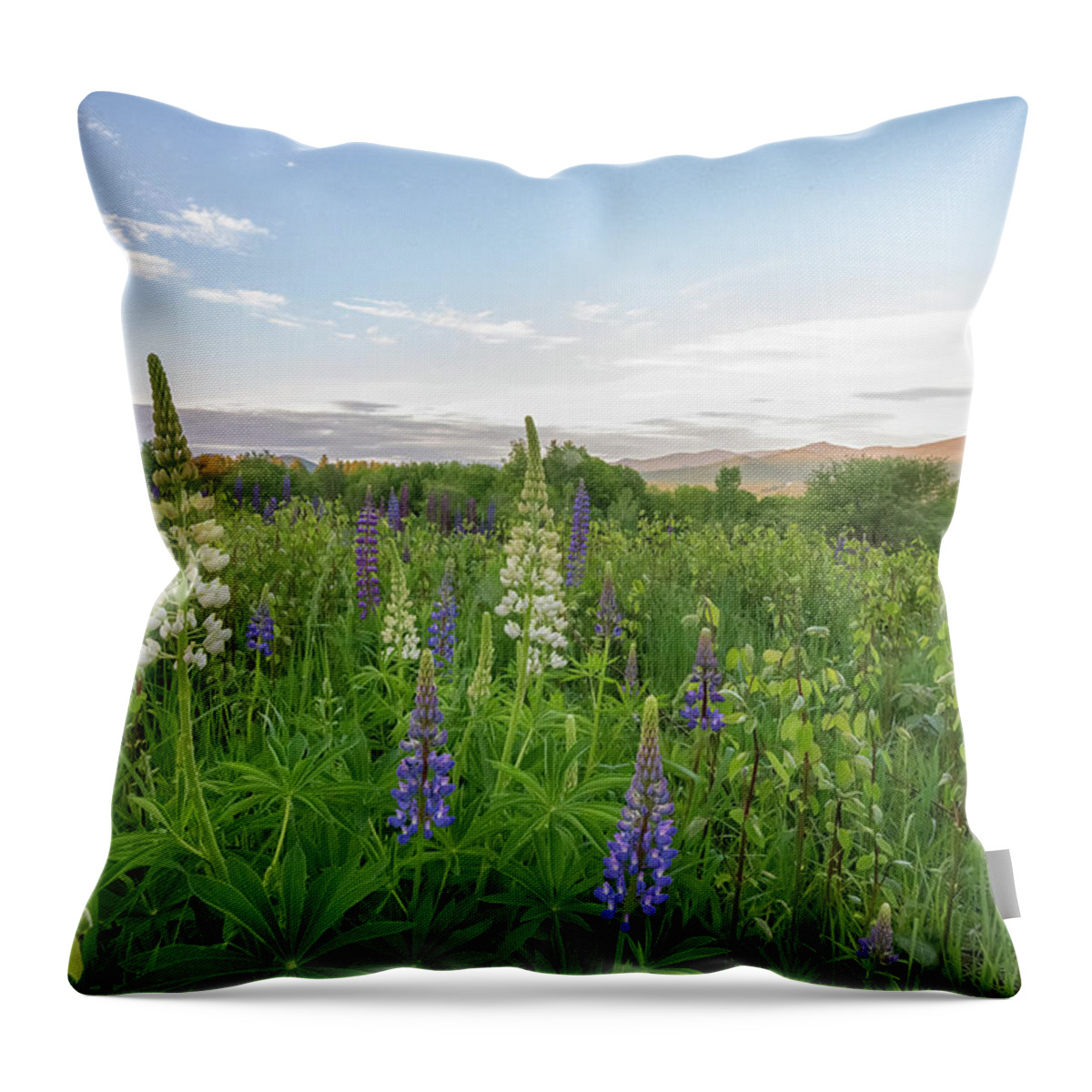 Lupines Throw Pillow featuring the photograph Lupines and the White Mountains by Bob Doucette