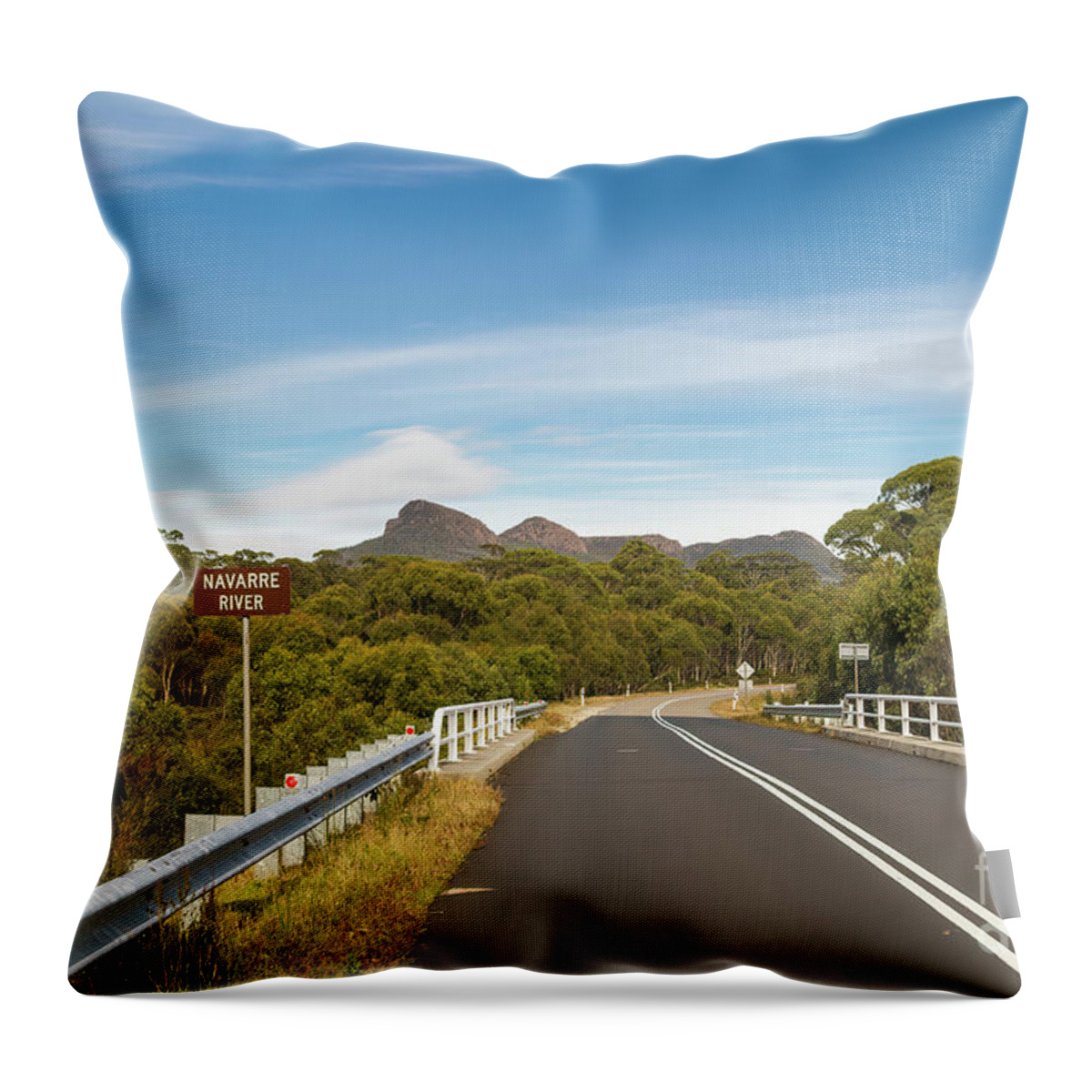 Tasmania Throw Pillow featuring the photograph Lyell Highway, Nr. Derwent Bridge, Tasmania, Australia by Elaine Teague
