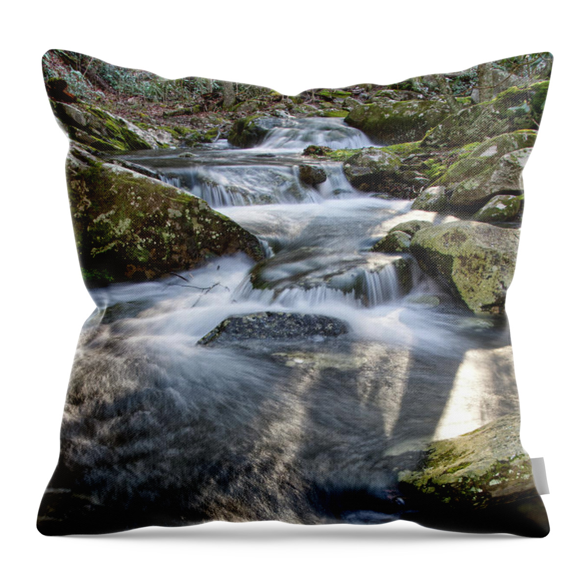 Middle Prong Trail Throw Pillow featuring the photograph Lynn Camp Prong by Phil Perkins