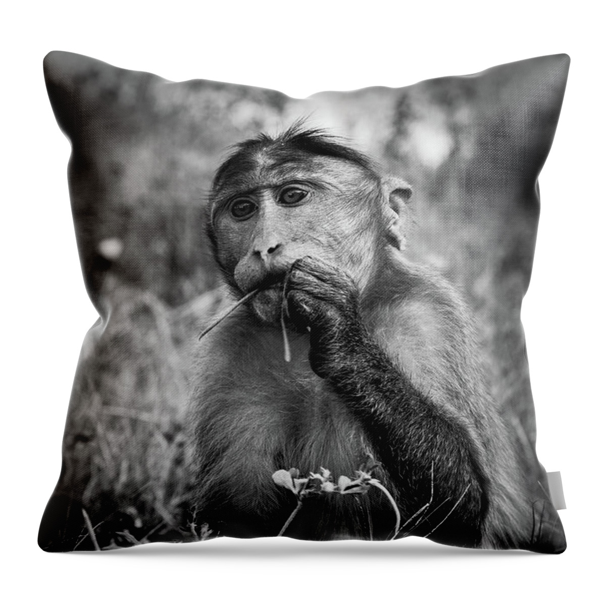 Macaque Throw Pillow featuring the photograph Macaque by Josu Ozkaritz