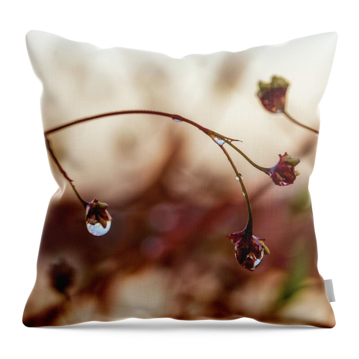 Plants Throw Pillow featuring the photograph Macro Photography - After The Rain by Amelia Pearn