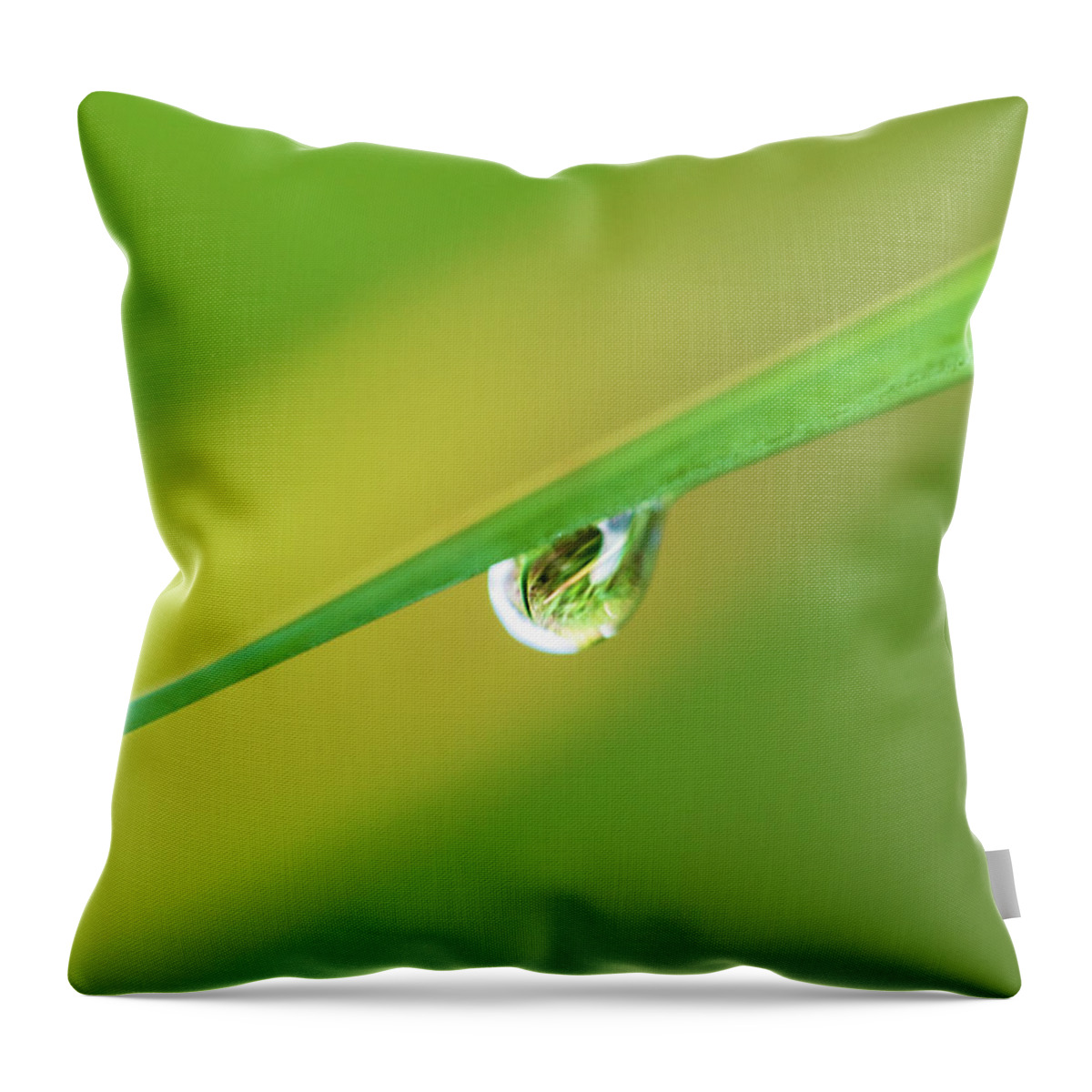 Plants Throw Pillow featuring the photograph Macro Photography - Rain Drop by Amelia Pearn