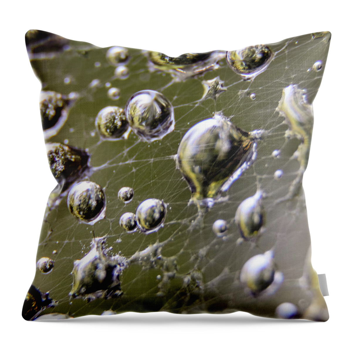 Spider Throw Pillow featuring the photograph Macro Photography - Spiderweb Dewdrops by Amelia Pearn