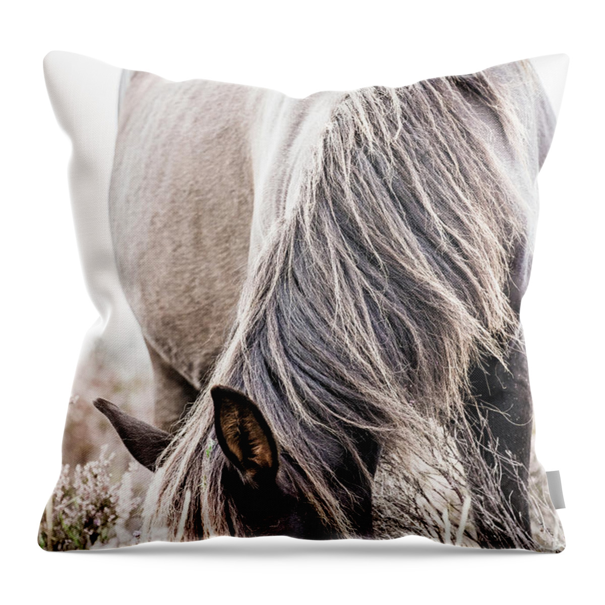 Photographs Throw Pillow featuring the photograph Madison - Horse Art by Lisa Saint