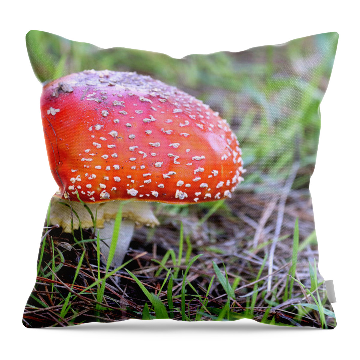 Amanita Muscaria Throw Pillow featuring the photograph Magic Mushroom by Vivian Krug Cotton