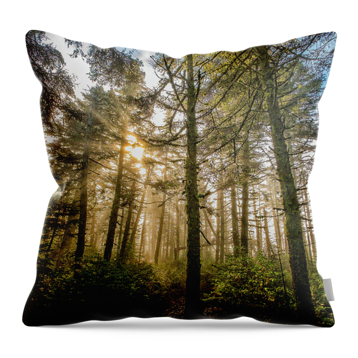 Adventure Throw Pillow featuring the photograph Magical Light, Kilkenny Ridge. by Jeff Sinon