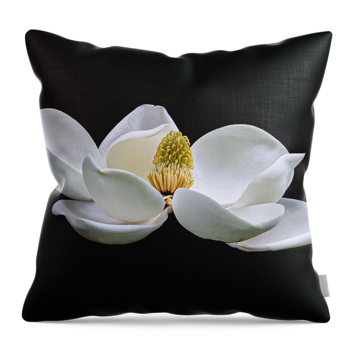 Magnolia Blossom Throw Pillow featuring the photograph Magnolia Blossom 01 OP by Jim Dollar