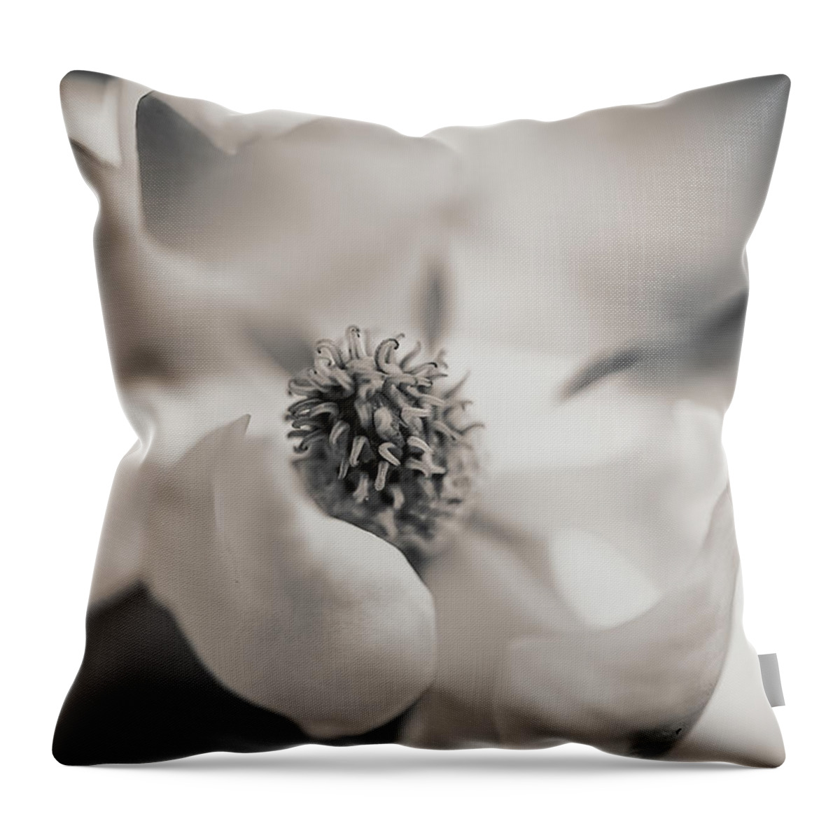 Magnolia Throw Pillow featuring the photograph Magnolia Blossom 10 by Connie Carr
