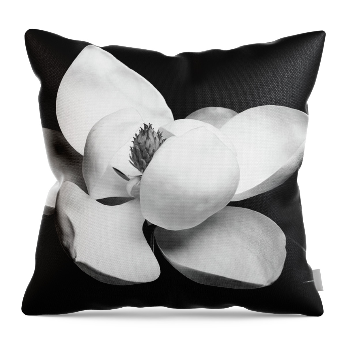 Magnolia Throw Pillow featuring the photograph Magnolia Blossom 8 by Connie Carr